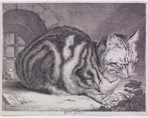 el gato grande de Cornelis de Visscher