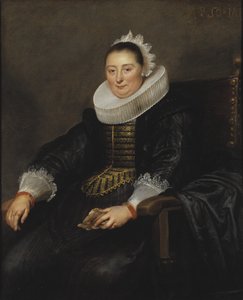  de Cornelis de Vos