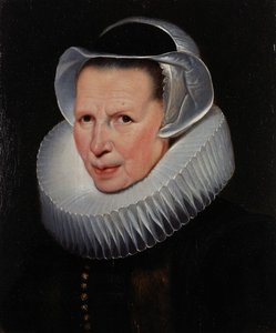  de Cornelis de Vos