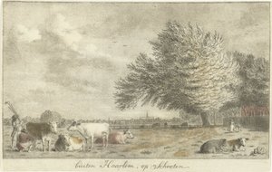vacas en un prado fuera de Haarlem, en Schooten (título sobre el objeto)