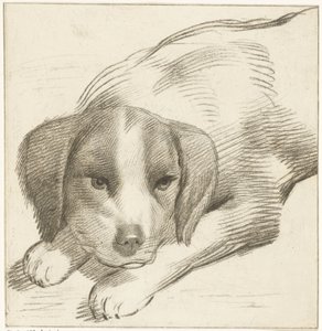 perro mentiroso de Cornelis van Noorde