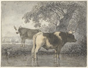Dos vacas bajo un árbol junto al agua