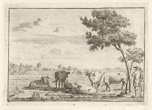 Cinco vacas en un prado de Cornelis van Noorde