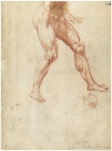 Estudio de la parte inferior del cuerpo de un hombre desnudo caminando