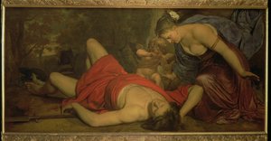 Venus llorando la muerte de Adonis (óleo sobre lienzo) de Cornelius Holsteyn