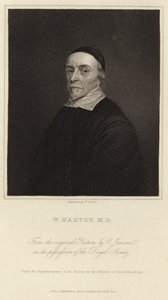 William Harvey de Cornelius Janssen van Ceulen