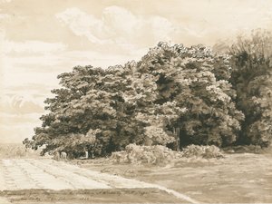 Wrottesley Hall - El Arbusto: dibujo en sepia, 1820 de Cornelius Varley