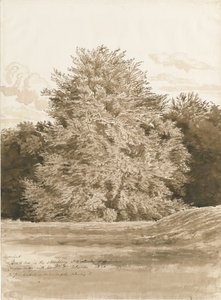 Wrottesley Hall - El Arboreto de Cornelius Varley