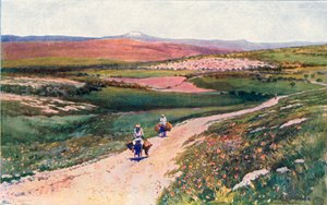 Cana desde el Camino a Nazaret