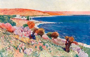 Sitio de Betsaida de Corwin Knapp Linson