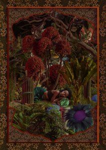 El jardín de fantasía de la mujer dormida de CosmoZach