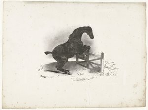Caballo salta sobre una valla Cheval franquiciante une barrera