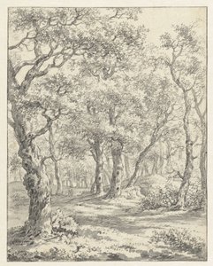 paisaje forestal de Couwenhoven