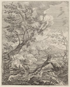 El árbol marchito