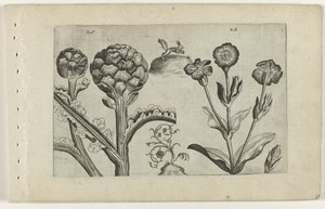Artisjok en prikneus Conozca los lirios (título de la serie) de Crispijn van de Passe (I) (attributed to)