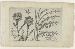 Tuinanjer en Brem Conozca los lirios (título de la serie) de Crispijn van de Passe (I) (attributed to)