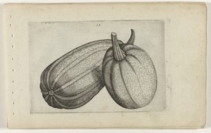 dos melones Conozca los lirios (título de la serie) de Crispijn van de Passe (I) (attributed to)