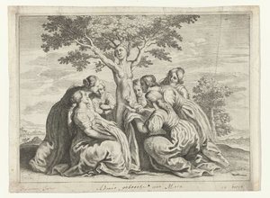 Nacimiento de Adonis
Metamorfosis de Ovidio (título de la serie)