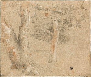 Bocetos de árboles de Cristofano Allori