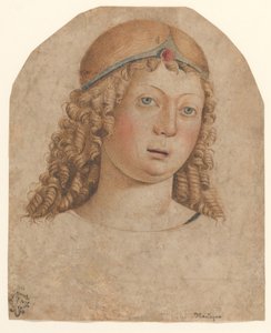 Cabeza de un joven con diadema, finales del siglo XV-principios del siglo XVI