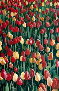 Tulipanes, 2010 de Cruz Jurado Traverso
