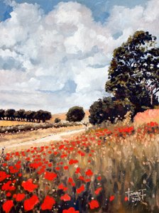 Amapolas silvestres, Hertfordshire, 2010