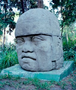 Civilización precolombina: cabeza colosal olmeca. Siglos X-VII a.C. México. Parque Museo de La Venta