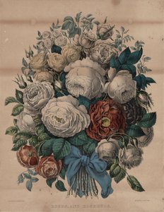 rosas y capullos de rosa de Currier and Ives