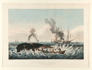 La pesquería de ballenas:/ Atacar a un cachalote