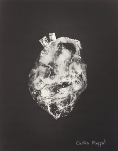 Sin título, c.1925 (fotograma: impresión en gelatina de plata)