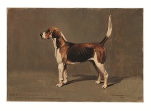 "Woldsman" de Cuthbert Bradley