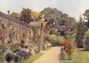Crimson Ramblers en Osborne (litografia en color) de Cyril Ward