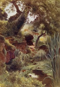 Parte del Rock Garden junto al Upper Lake, Sandringham (litografia en color) de Cyril Ward
