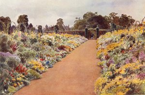 The Double Borders en East Garden, Sandringham (litografia en color) de Cyril Ward
