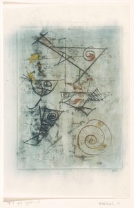 Peces y conchas de D. Middelhoek