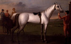 Mozo sosteniendo un caballo de carreras gris de D. Quigley