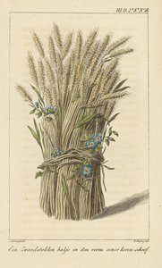 Tazón en forma de hoja de maíz de D. Sluyter