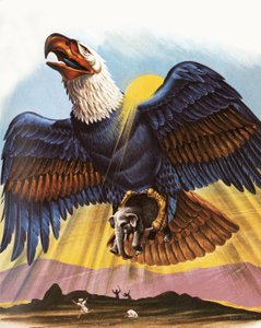 El poderoso Roc