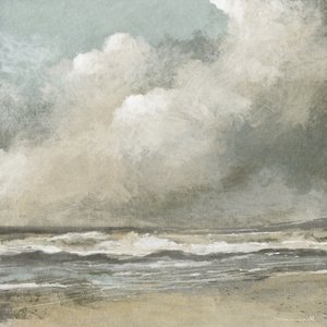 Misty Beach de Dan Hobday