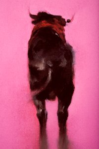 Toro (detalle)