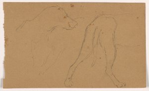 Dibujo, Milo (un Pointer), Cabeza y Cuerpo, ca. 1862 de Daniel Huntington