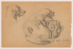 Dibujo, Milo (un Pointer) Tres Estudios, Milo (un Pointer) Dos Estudios, ca. 1862 de Daniel Huntington