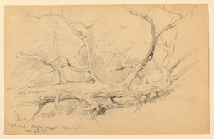 Tronco de arce, a través del antiguo camino de tala, Dalton de Daniel Huntington