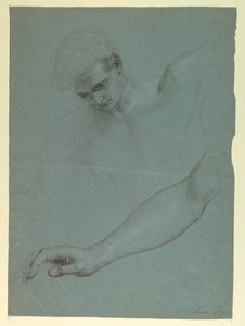 Estudios para ángel en "El sueño de la misericordia"