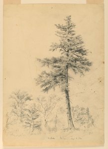 Estudio de cicuta, Gorham, New Hampshire de Daniel Huntington