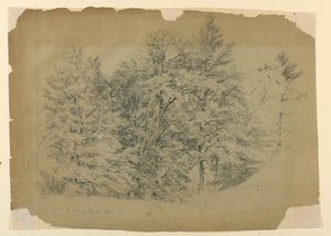 Estudio de árboles, North Conway, New Hampshire de Daniel Huntington