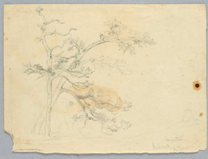 Estudio de dos pinos, montañas Catskill de Daniel Huntington