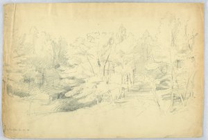 Escena boscosa - West Campton, New Hampshire