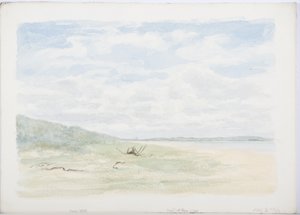 Isla Santa, 1899 de Daniel Oliver