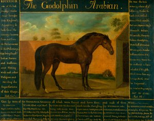 El Godolphin Árabe